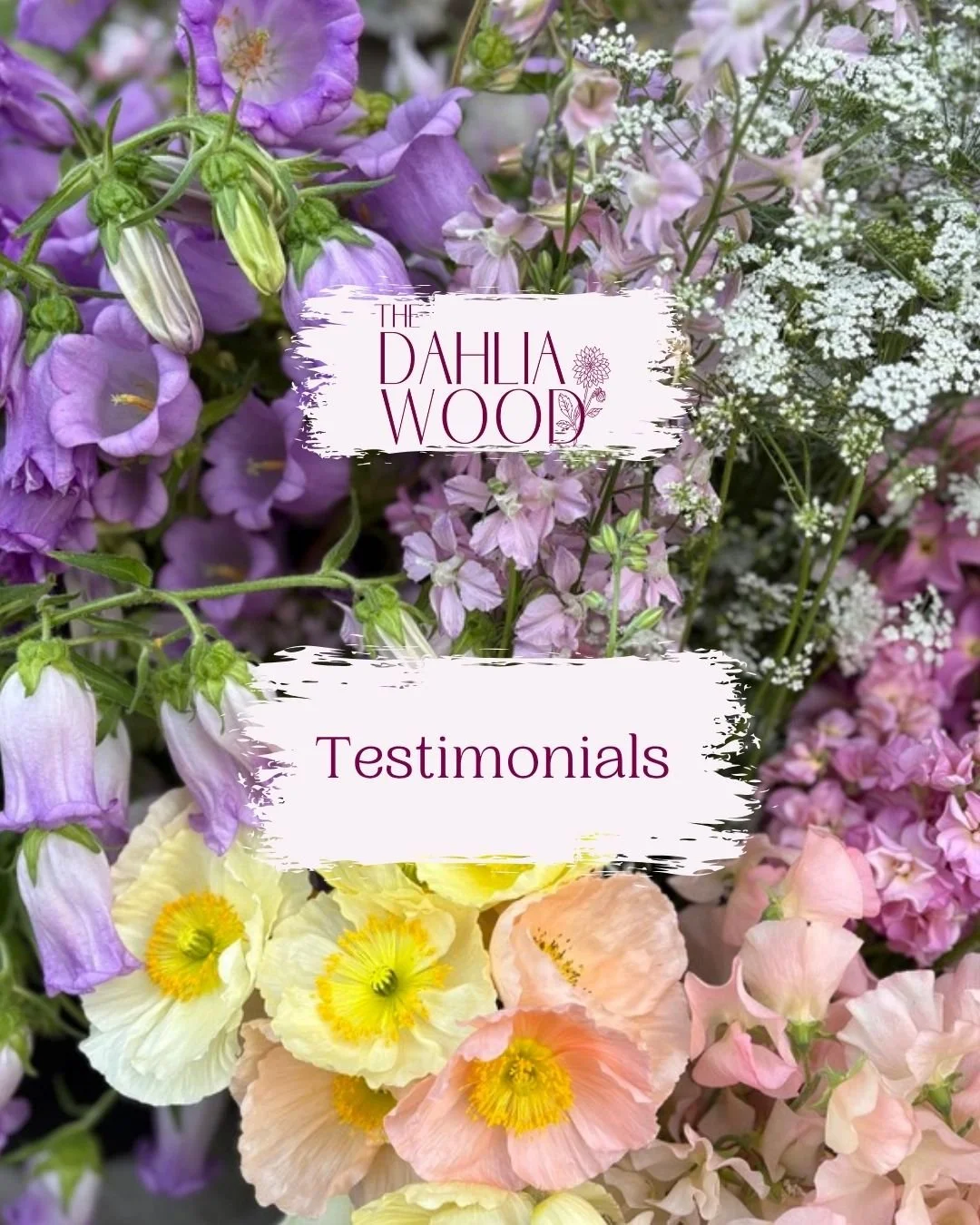 As we reach the end of another busy year we're reflecting back on some of the lovely feedback we've had from our wonderful customers. Thank you for your trust and support, we're grateful for you all!🥰🙏🏻

The Dahlia Wood | Slow grown, seasonal Wels