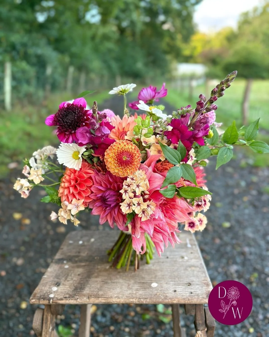This special couple were clear from the start that they wanted an abundance of colour to celebrate their day. In mid September we knew we could rely on the dahlias to deliver the carnival vibes while the phlox, cosmos and philadelphus foliage brought