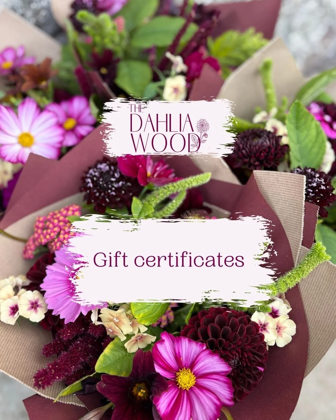 On the look out for Christmas presents? How about giving them something to look forward to in the New Year? 💐✨

The Dahlia Wood | Slow grown, seasonal Welsh flowers | Whimsical, romantic and a little bit wild

#welshflorist #llandeilo #slowgrownflow