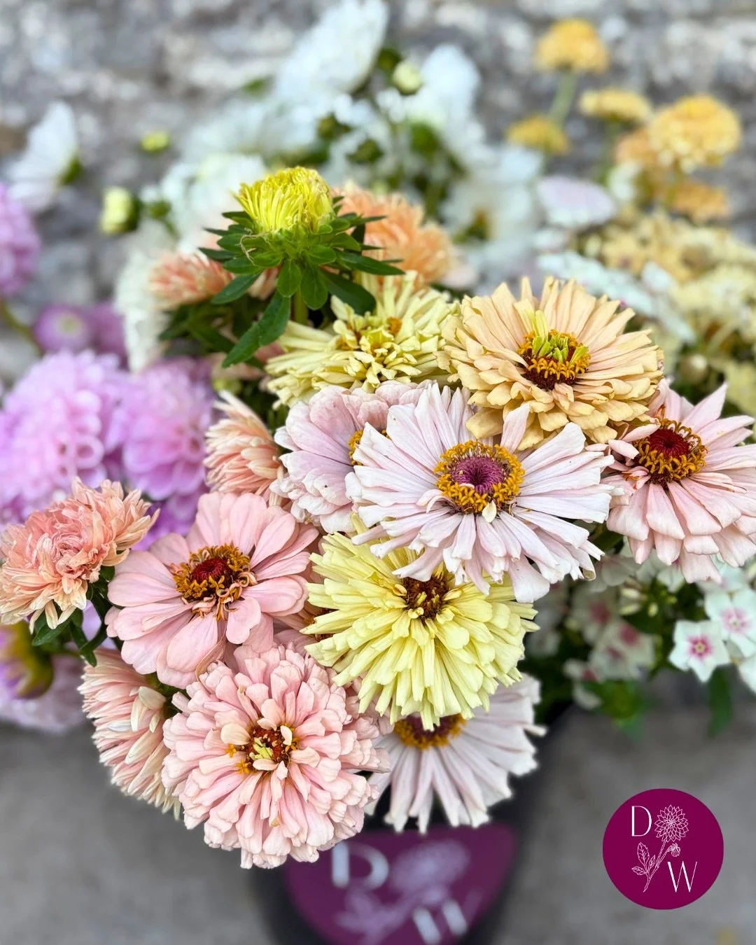 Seasonal flowers ~ August 🌸

By August, the flower beds are overflowing and it truly feels like peak season. The dahlias are in full show-off mode by now, alongside the other late-summer stars &mdash; zinnias, china asters, amaranthus, salpiglossis,