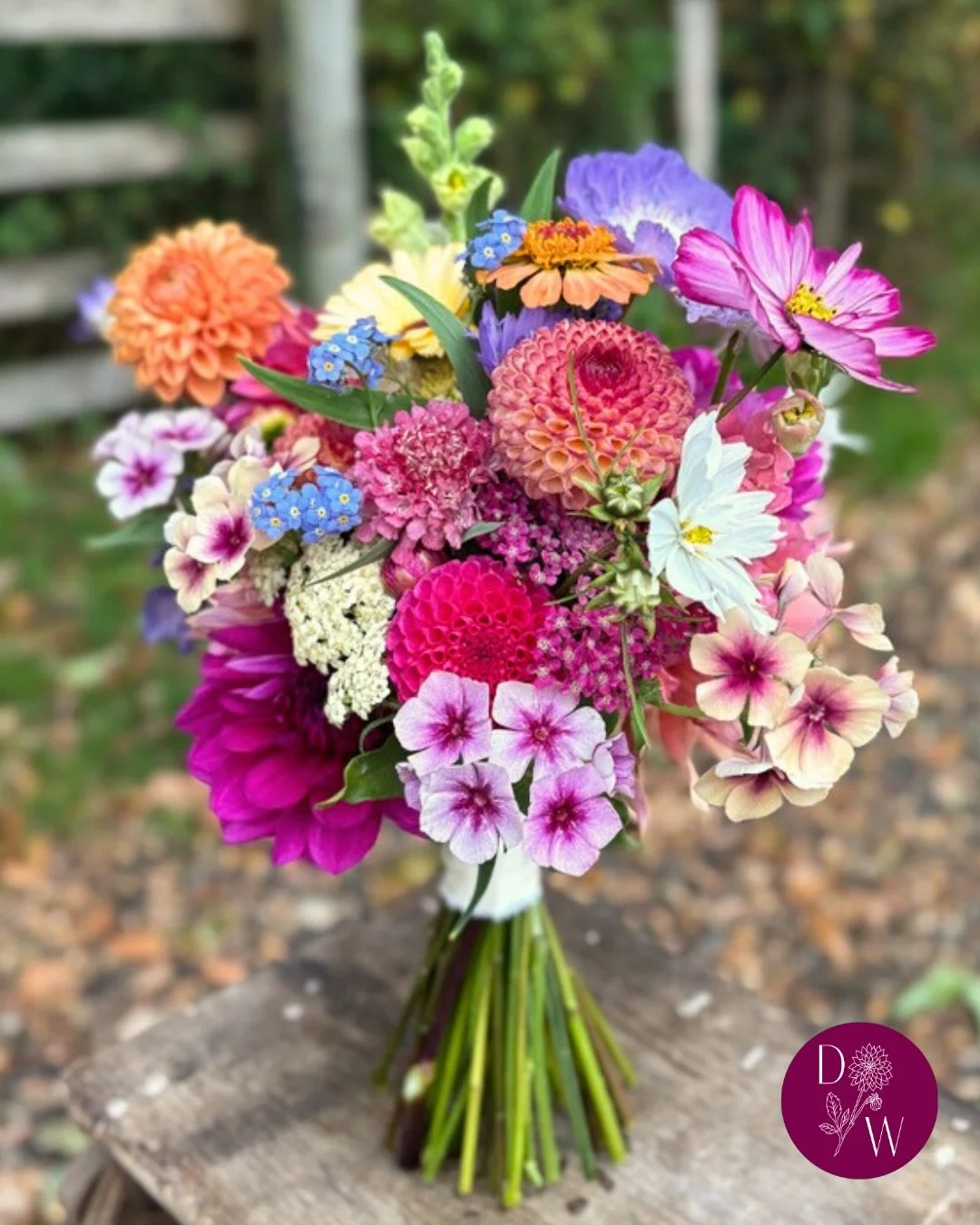 Seasonal flowers ~ October 🌻

October is really the final month of fresh flowers for us. The selection starts to reduce but the dahlias continue to show off. Phlox, cosmos, calendula, snapdragons, rudbeckia and scabious can still produce well and pr