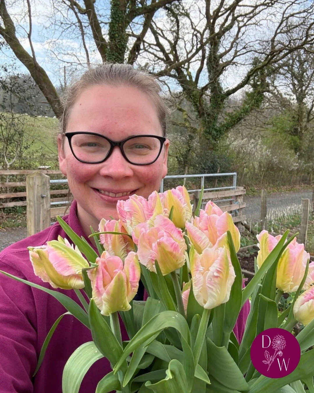 Ahh tulips... we all love them, and they're a great stalwart in bouquets at this time of year. However, this year we won't be growing them ourselves.

Tulips are particularly prone to viruses, and last year we lost over two thirds of our crop. So thi