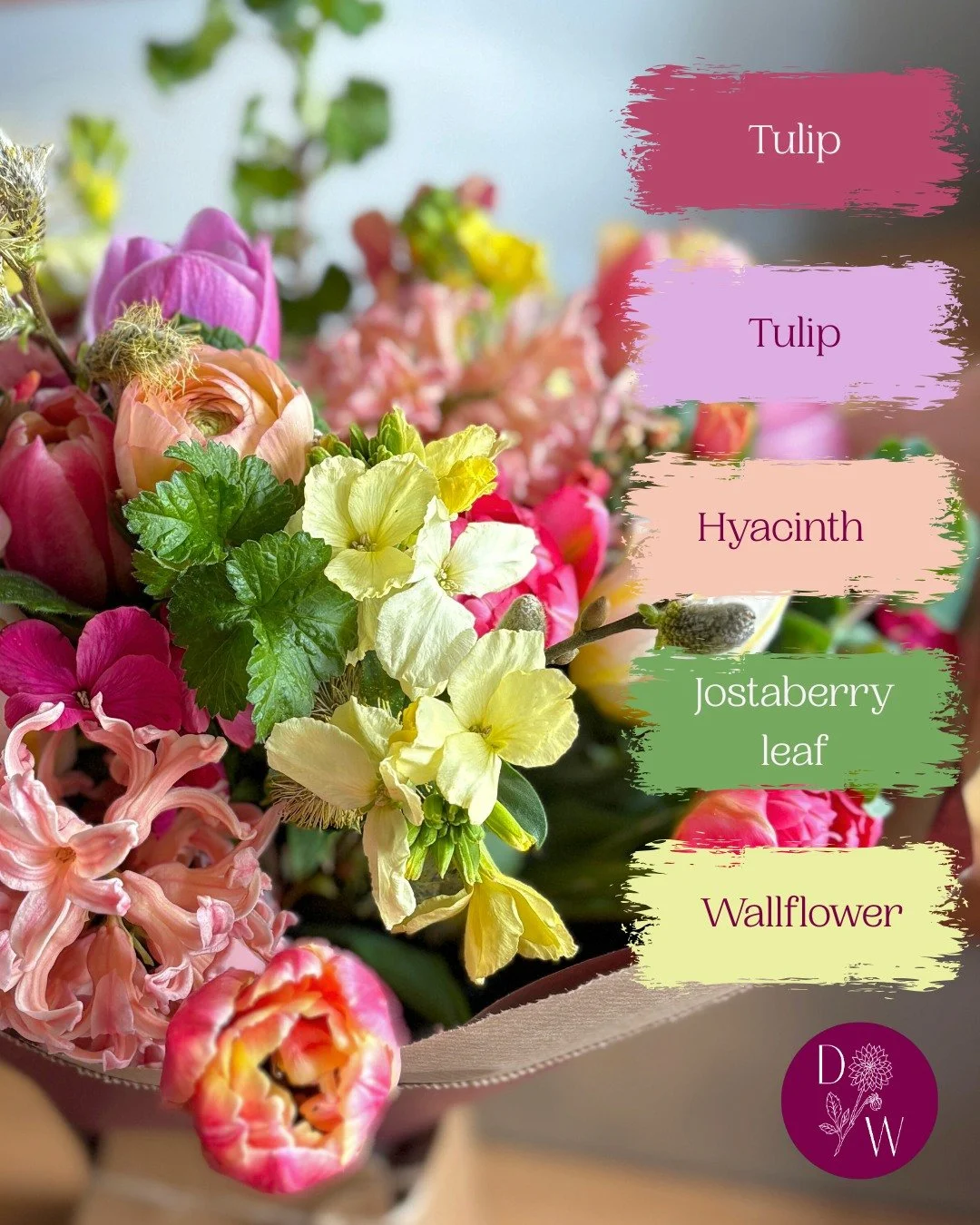 Take a closer look at some of the colours and varieties that may be included in your bouquets this Mother's Day 🌈🎨💓

The Dahlia Wood | Whimsical, romantic &amp; a little bit wild

#flowersfromthefarm #grownnotflown #fromfieldtovase #playfulapproac