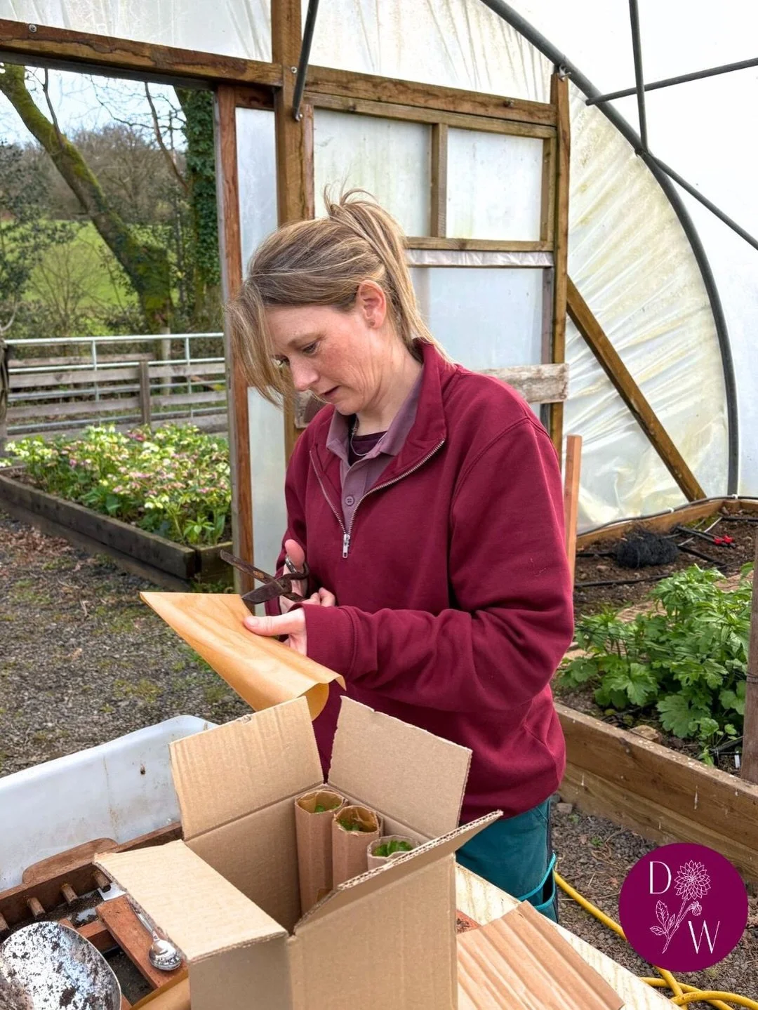 In February, we welcomed a new member to the TDW team - meet Emma!

Emma used to work as a tree surgeon and is happiest working outside in the fresh air. Emma&rsquo;s vital stats are as follows:
👩🏼&zwj;🍳 enjoys cooking, 🐝 keeps bees , 🌱 loves al