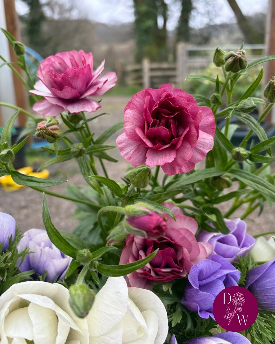 The 1st April officially marks the start of our fresh flower season - so we're open for business! 🥳🪻💕

We offer seasonal flowers to Llandeilo and the surrounding area, for all occasions, so whether you're looking wedding flowers, a funeral tribute