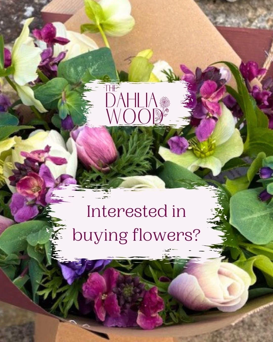 Here's a reminder of all our lovely options if you're in need of a little floral pick me up, or a gift!

www.thedahliawood.co.uk/shop

The Dahlia Wood | Slow grown, seasonal Welsh flowers | Whimsical, romantic and a little bit wild

#welshflowers #ll