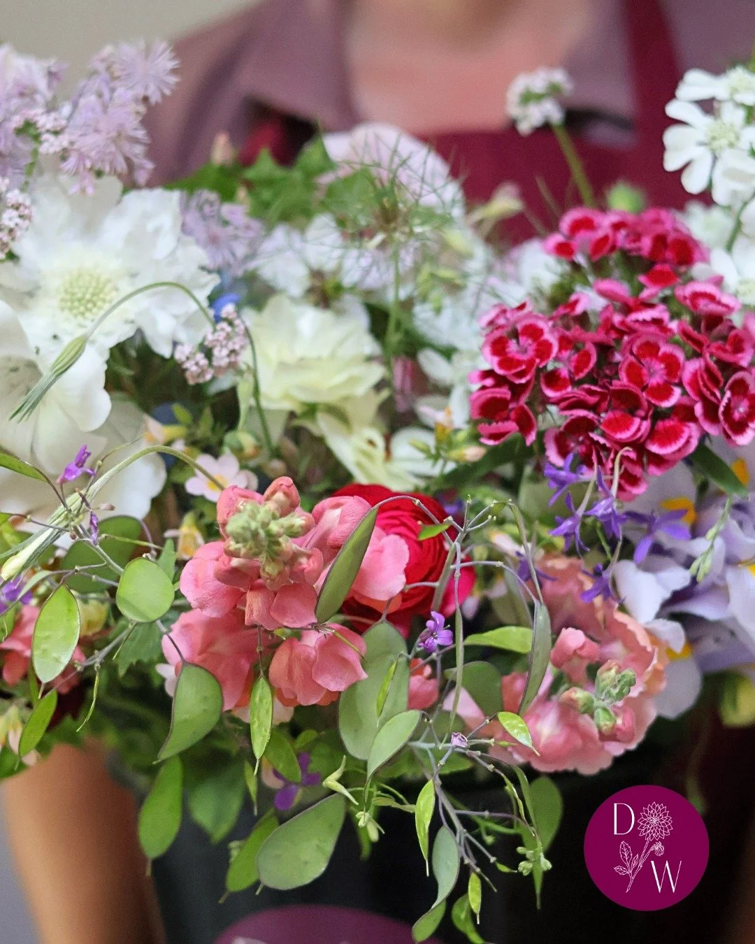 May marks a transition for us, as we shift slowly from Spring flowers and into early summer blooms. Anemones and ranunculus are coming to an end, but we see the first of the sweat peas, roses, iris, sweet williams, camassia, orlaya, snapdragons, scab