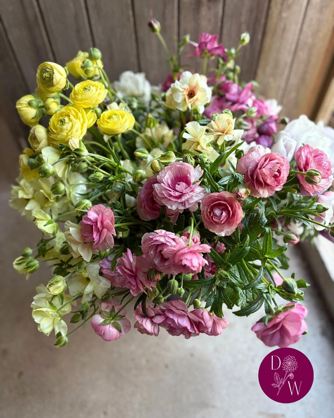 April wholesale loveliness 🌸🤩We've sent out loads of yummy scrummy flower buckets this month, featuring ranunculus, butterfly ranunculus, anemones, wallflowers, and geums. If you're a florist local to Llandeilo and fancy getting in on the action yo