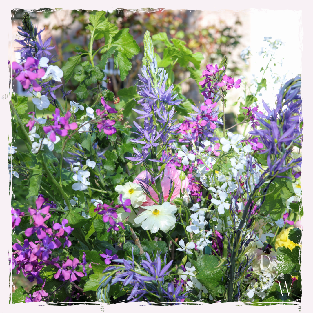 Seasonal Welsh flowers in a milk churn for an April wedding