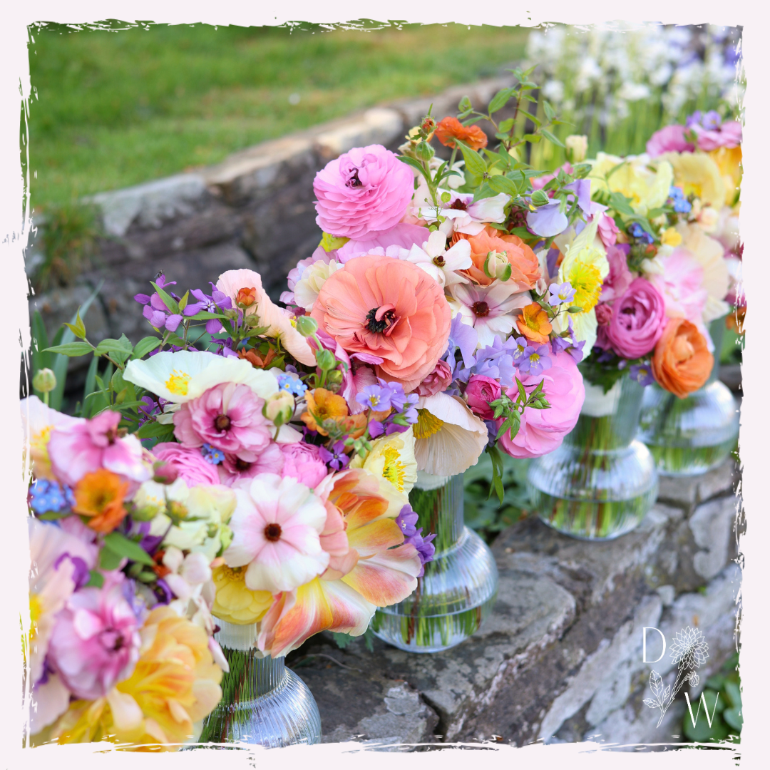 Images for blog (4).png