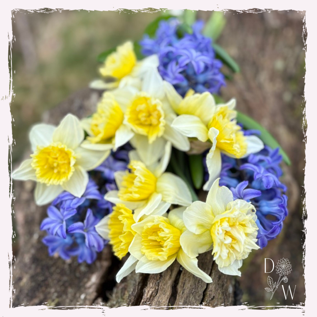 Seasonal Flowers