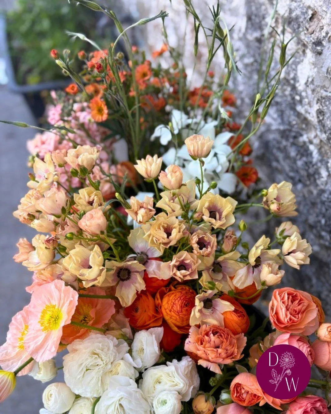 Our favourite flower this month has to be butterfly ranunculus! They started to flower in late March and have provided us with endless blooms until mid-May. We love their iridescent shimmer and the way they dance in the breeze.

Also stars of the sho