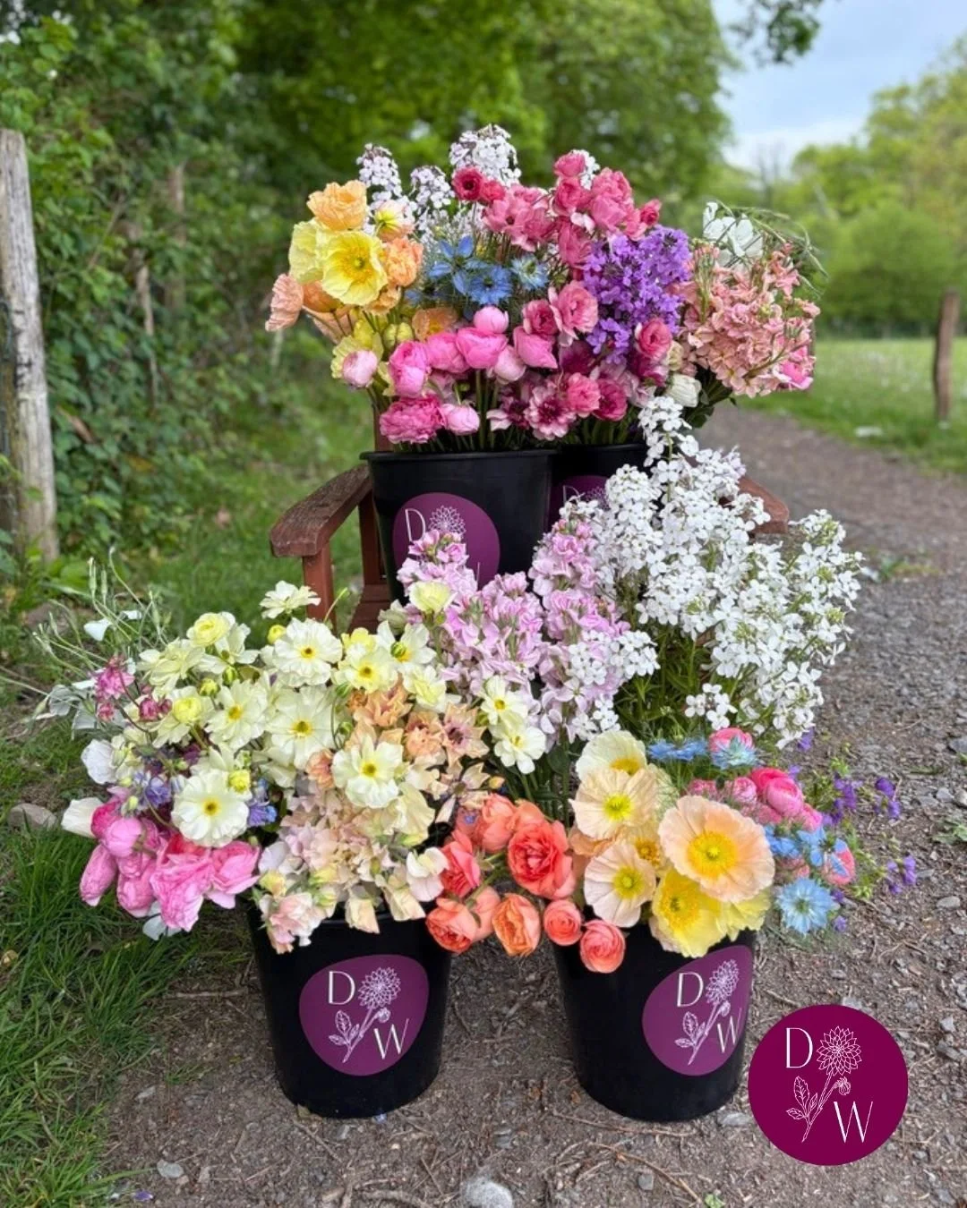 DIY Wedding Flowers? Make it TDW. 

Did you know, we can provide you with flowers to arrange yourself on your big day? You can combine them with bouquets and other arrangements, or go full DIY and and do it all yourself! Just make sure you're getting