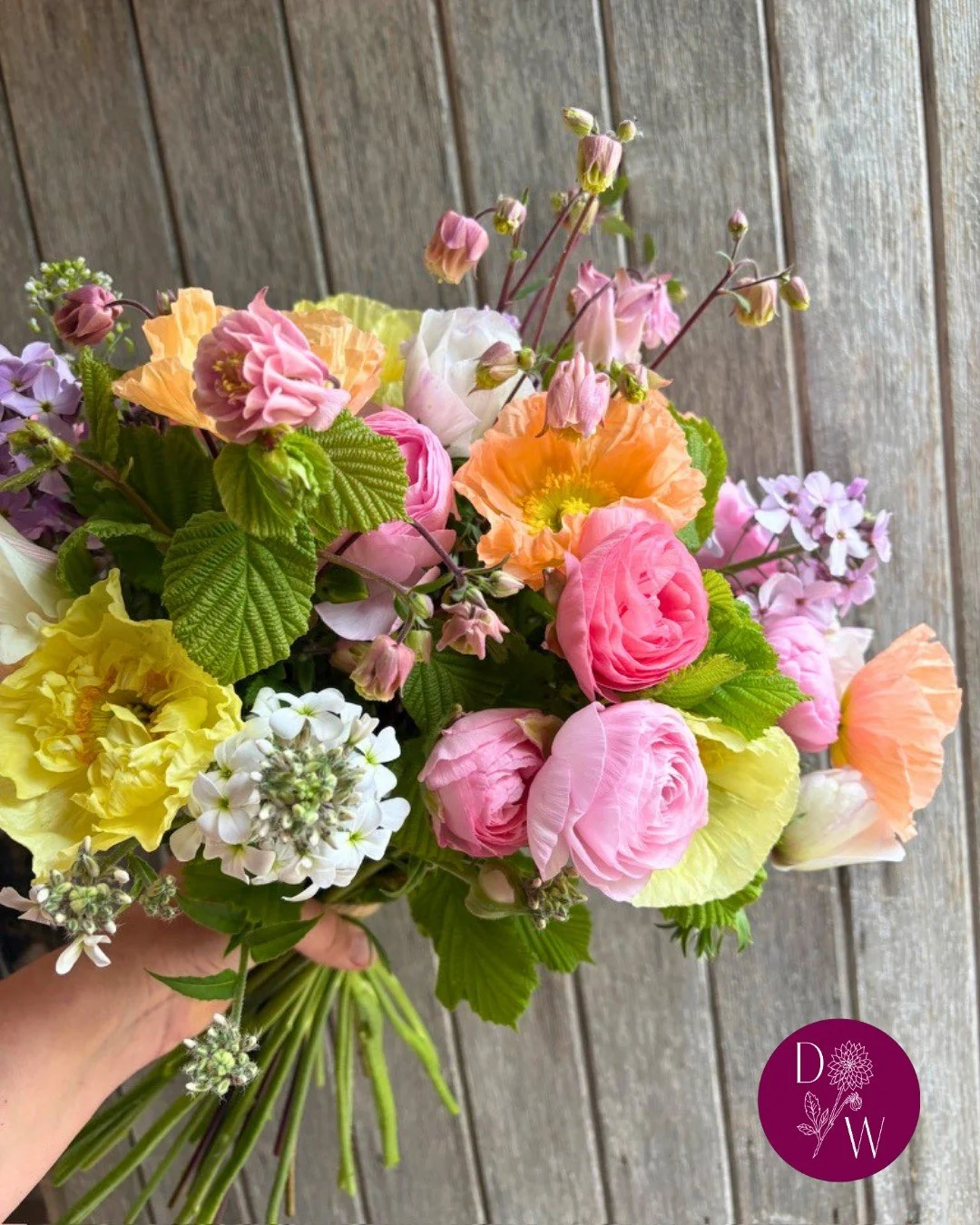 Life on the farm so far this month...

1🌼 Hello flowers! 😍 The heat at the end of May has brought so many plants into flower, we've been kept on our toes getting everything picked.
2 🌼 Did someone say heat?! This is the face of someone who's been 
