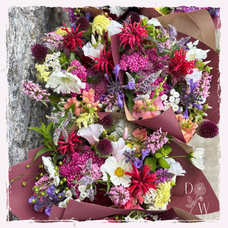 Fresh flower subscription Carmarthenshire