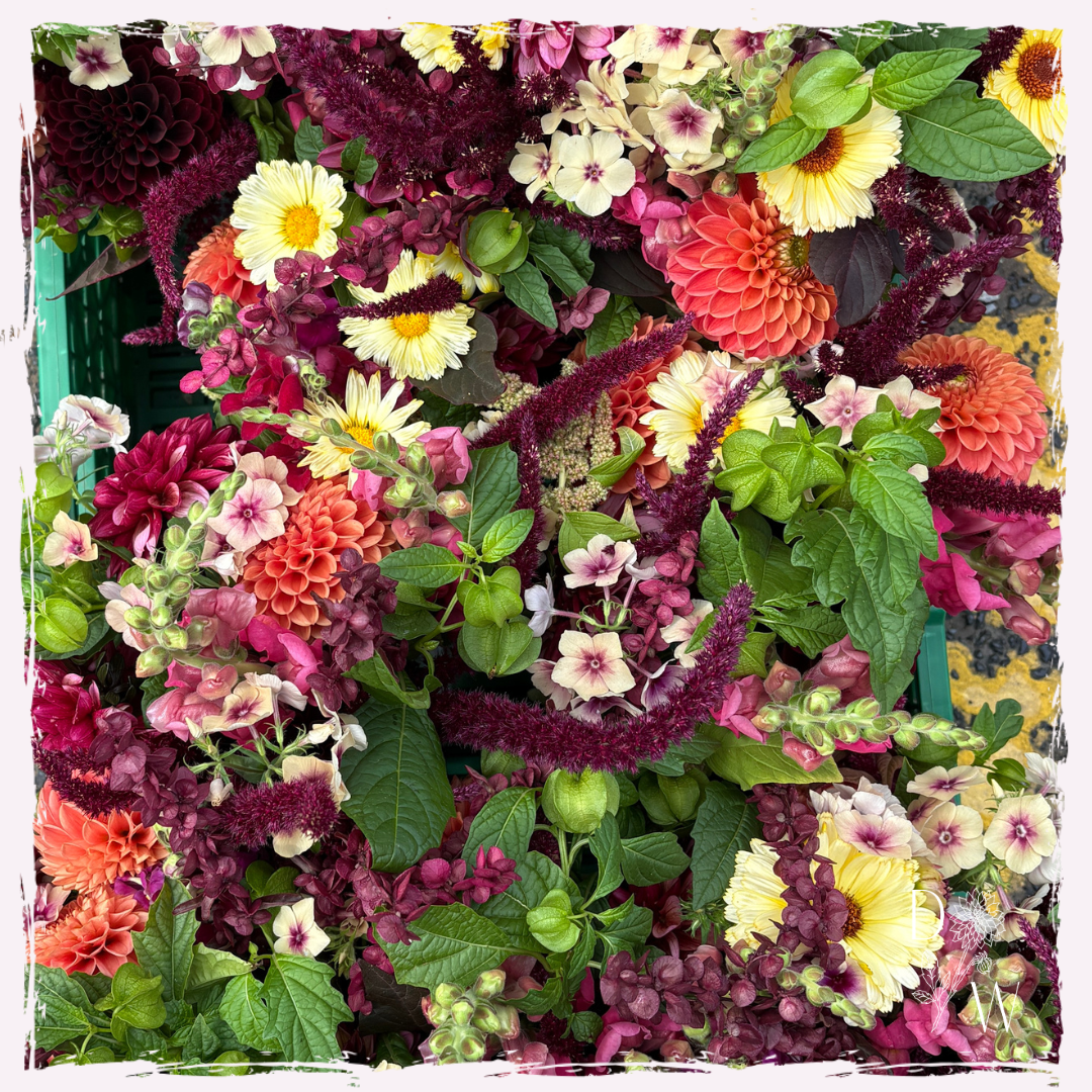 Amaranth, calendula, phlox, dahlias, mint