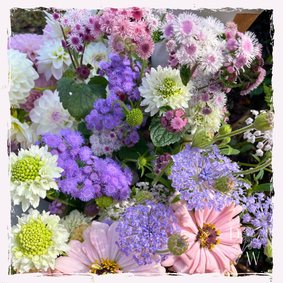 flower arranger's bucket seasonal welsh flowers