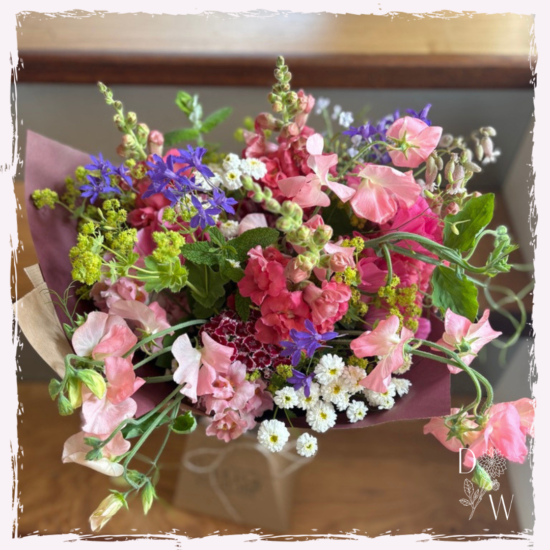 Seasonal summer flowers Wales June