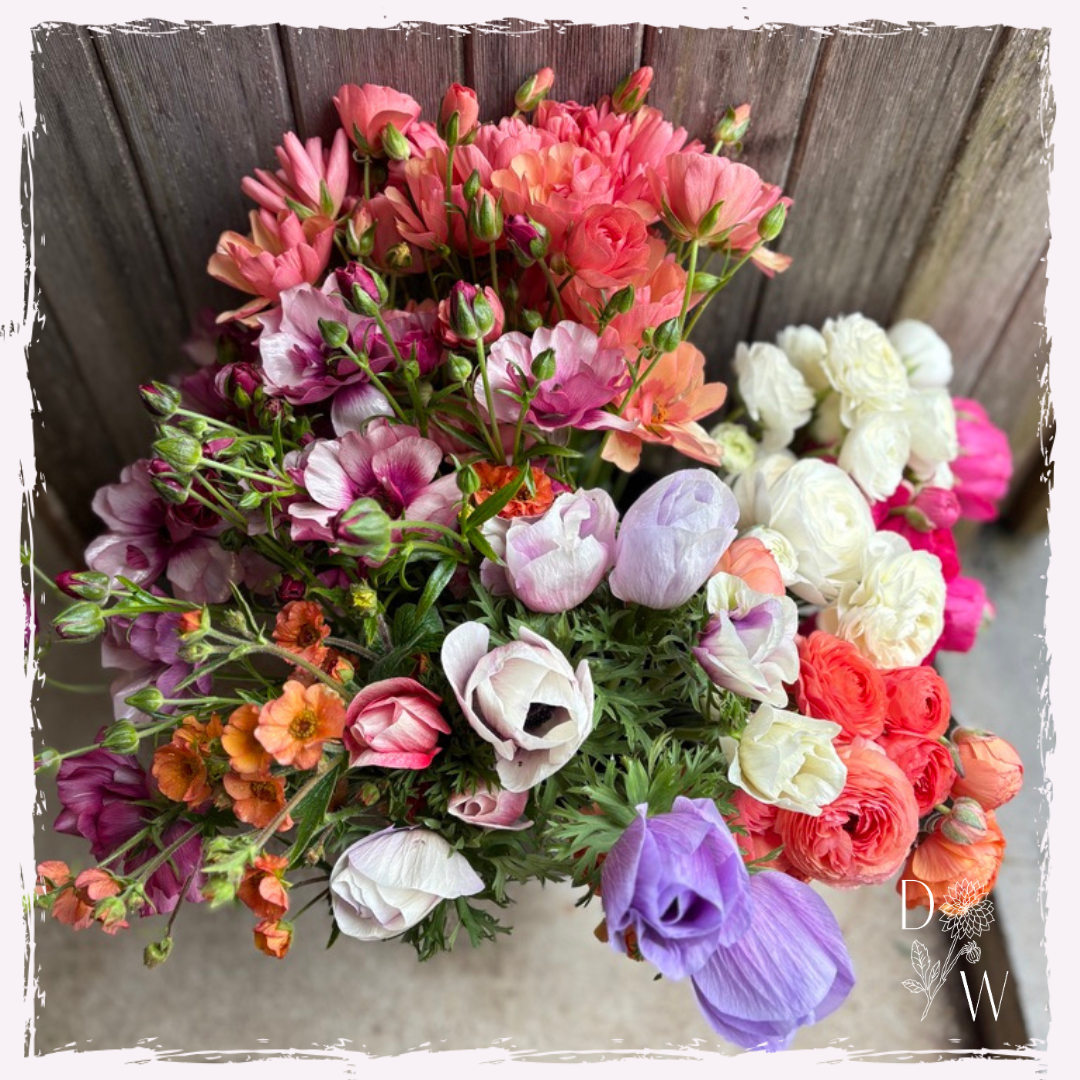 Spring seasonal flowers April