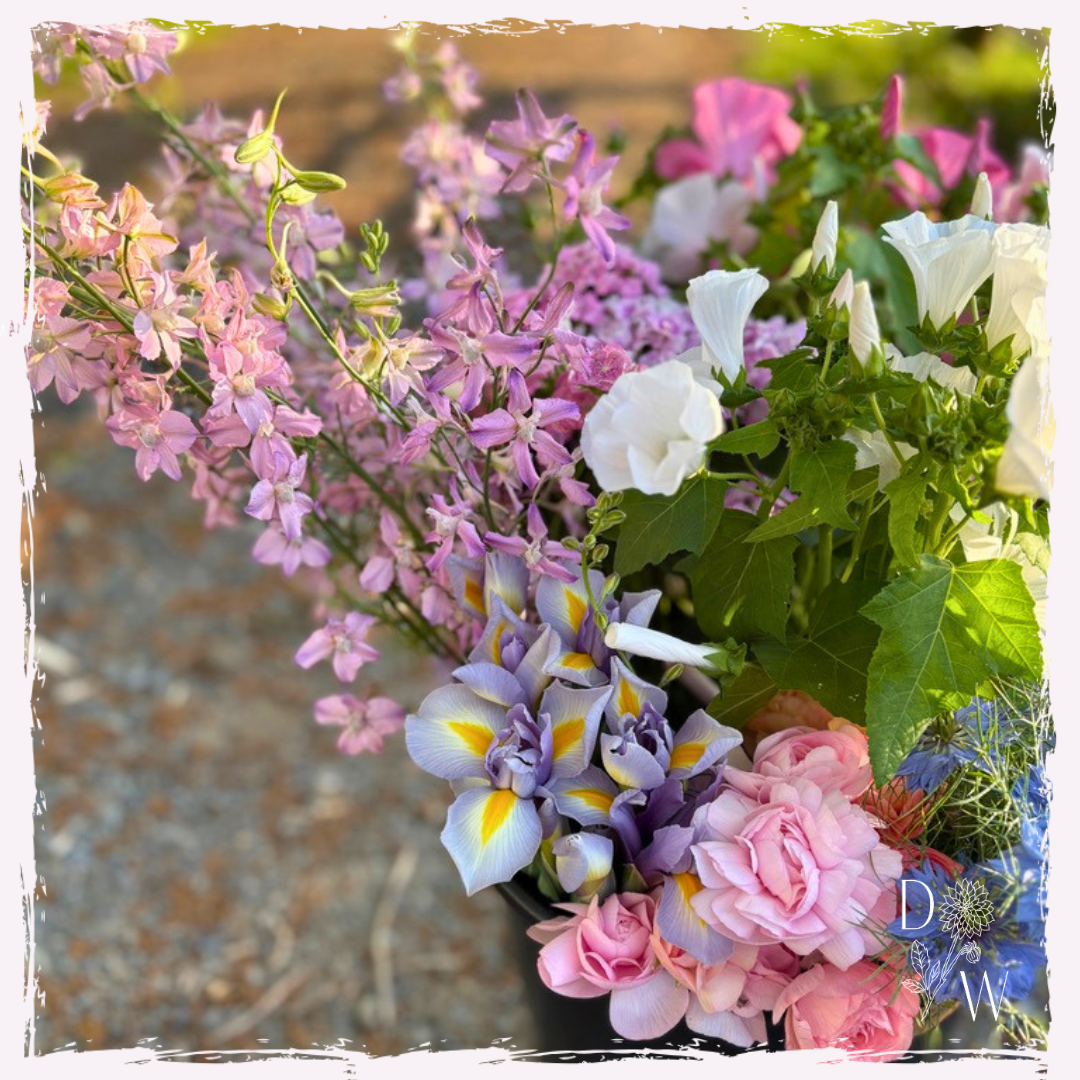 Larkspur, dutch iris and lavatera