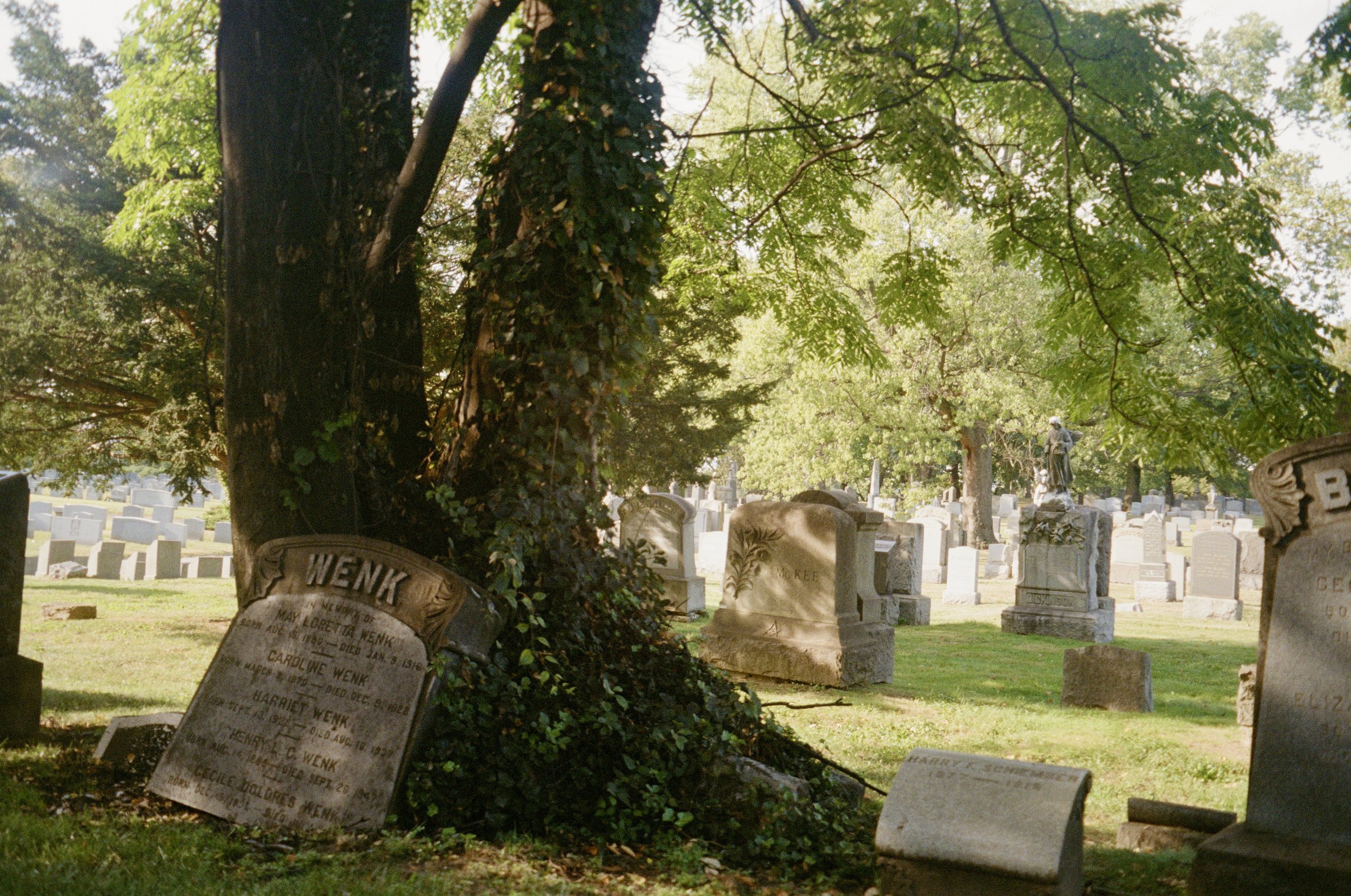 E826F866-9DFE-4AF3-910E-485B5132BEBC 2.jpg