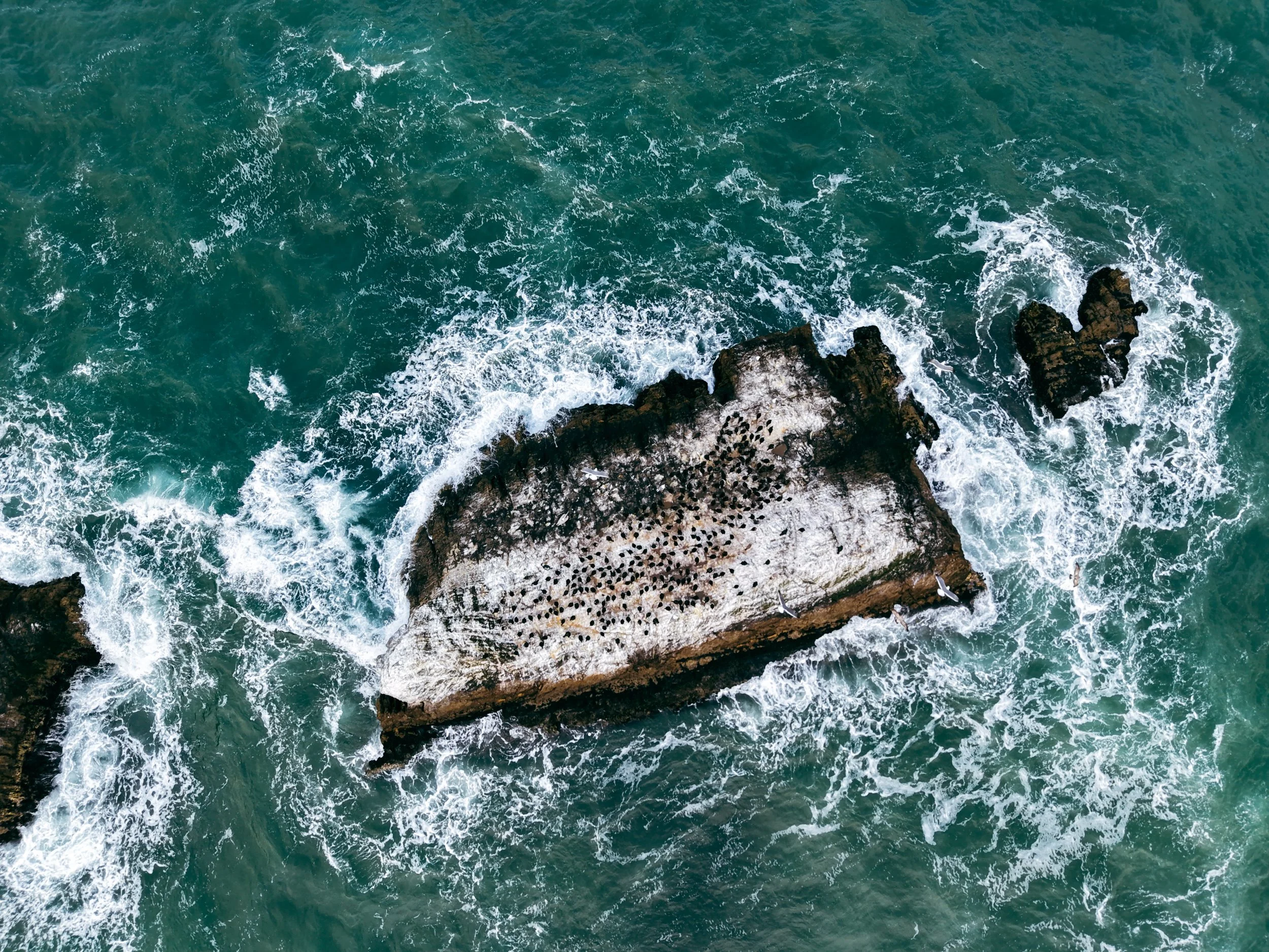 Drone9.JPG