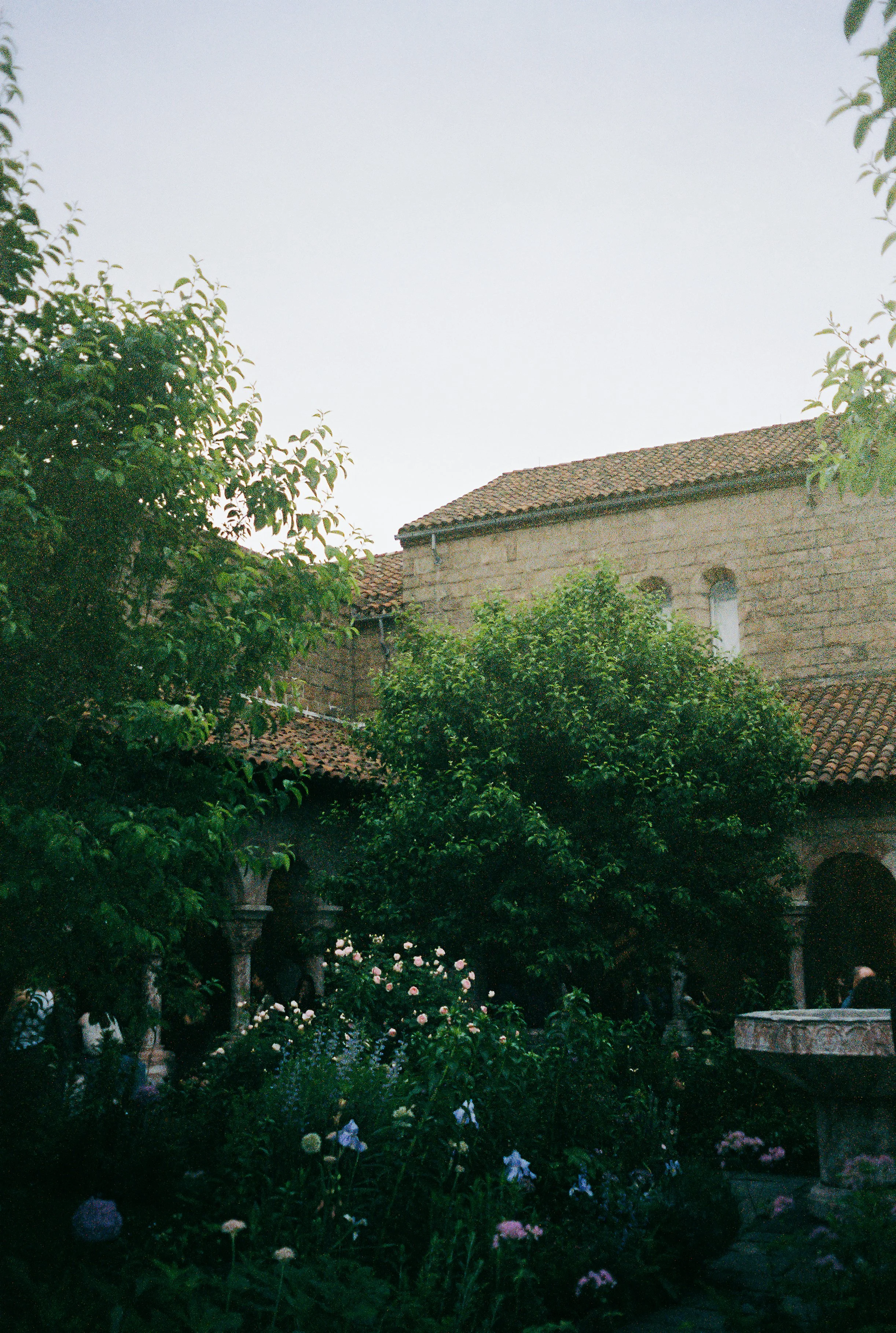 21245R3-R01-013A.jpg