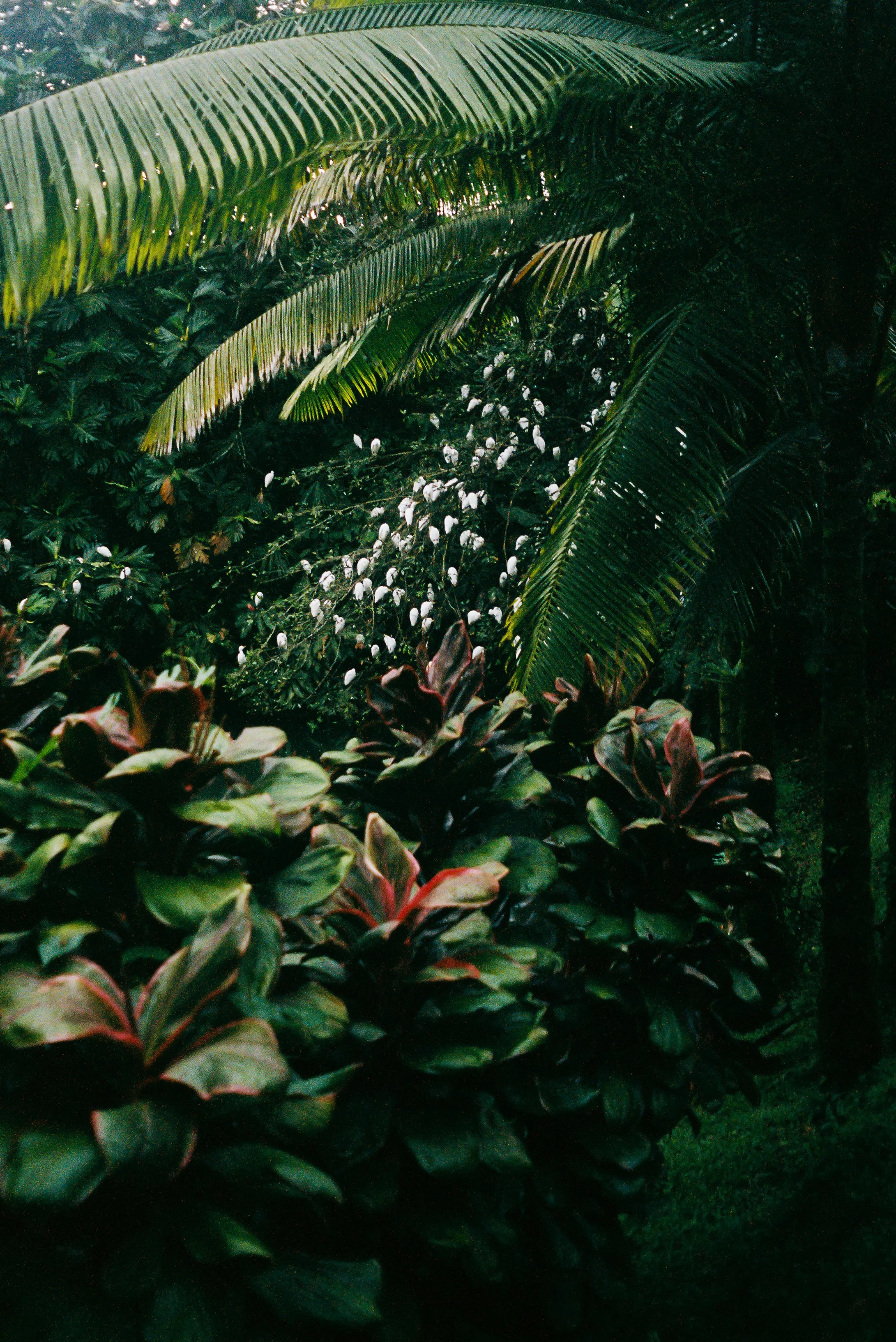 Gallery30.jpg