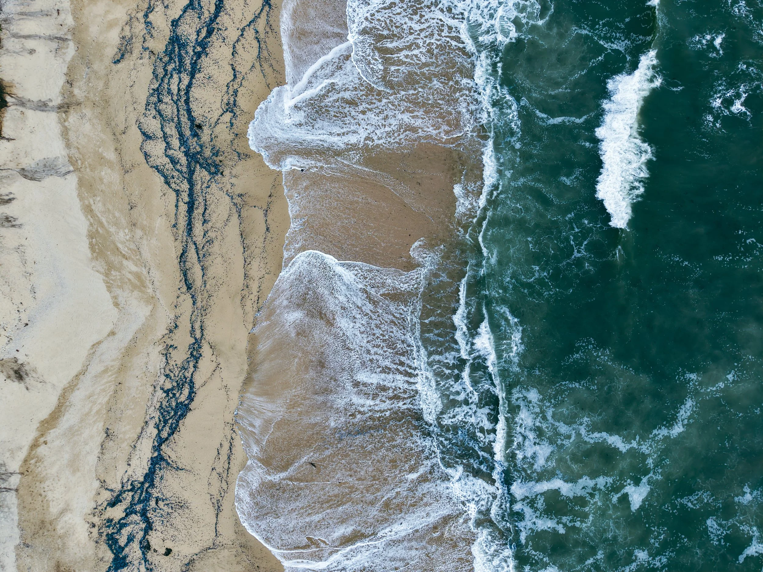 Drone4.jpg
