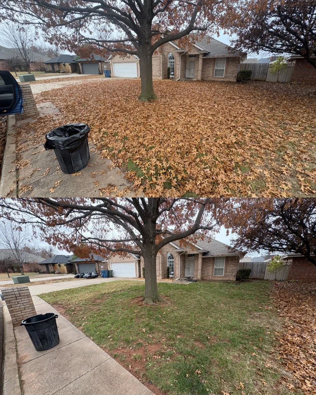 leaf-removal
