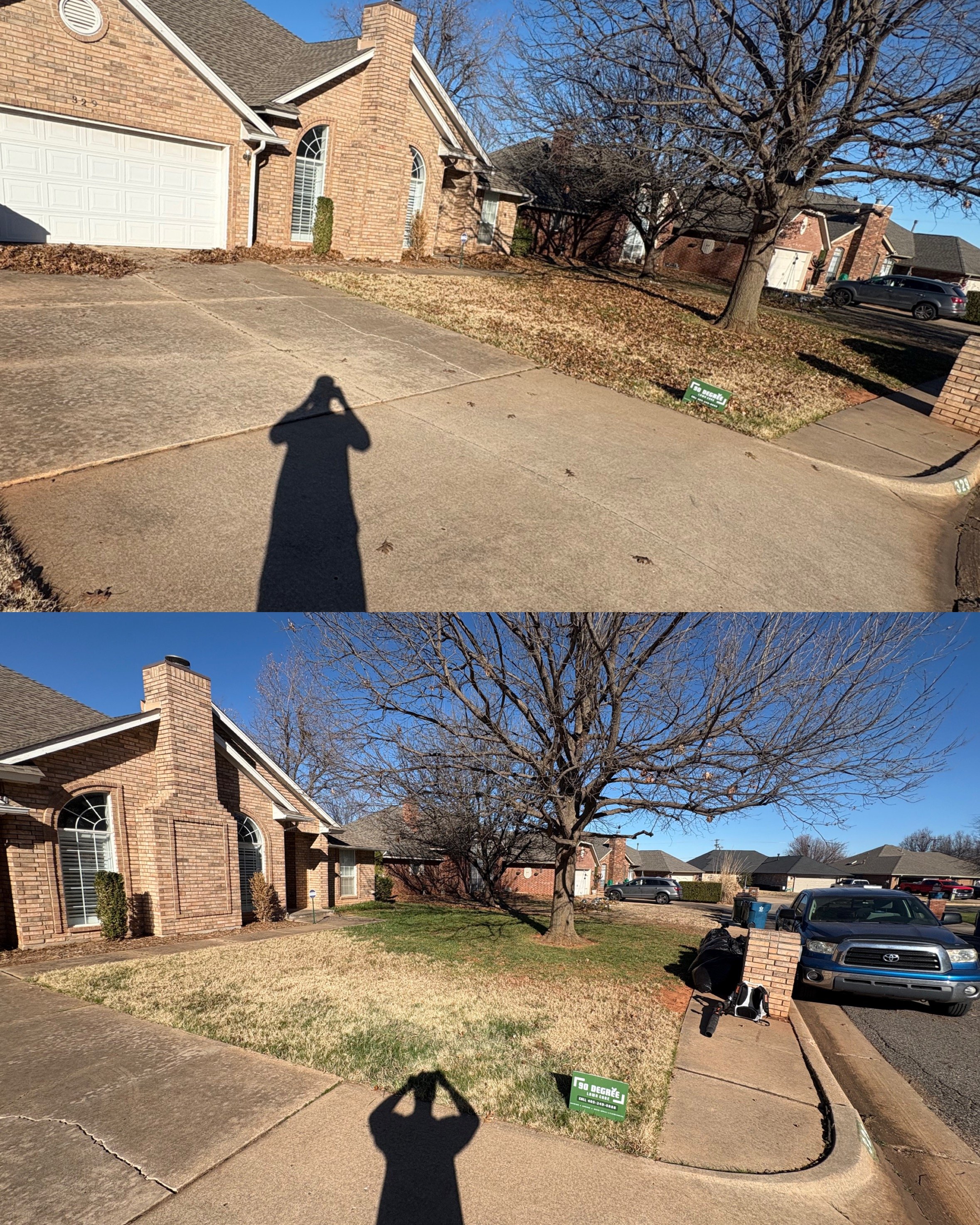 leaf-removal-from-lawn