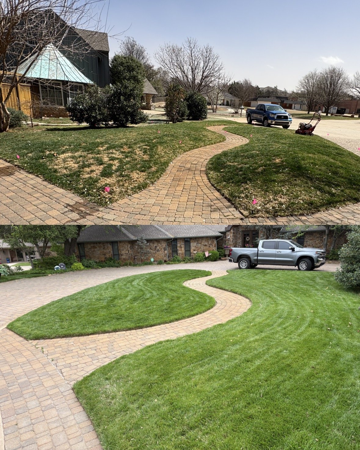 overseeding-transformation