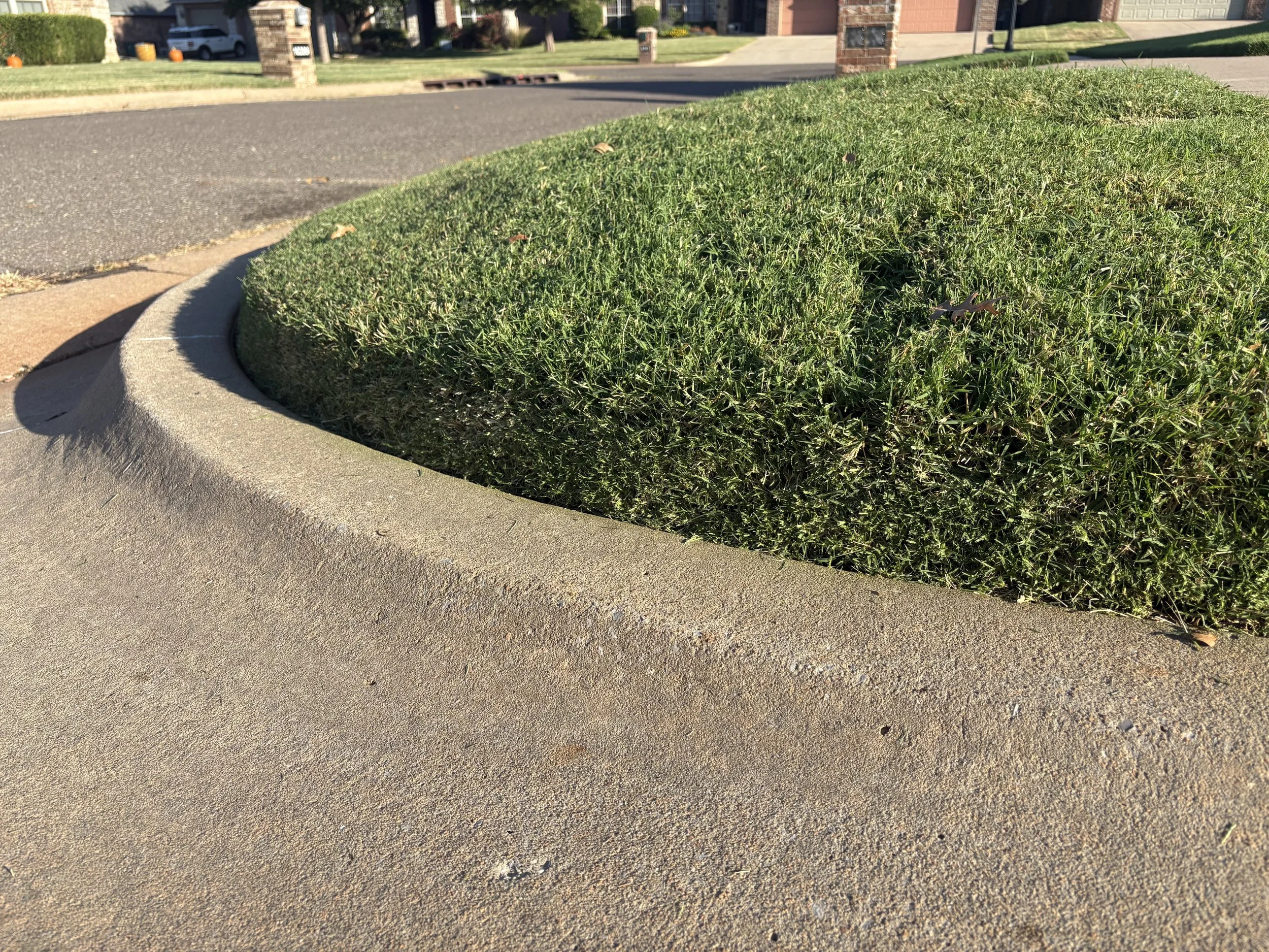 freshly-cut-lawn-weedeating-edge