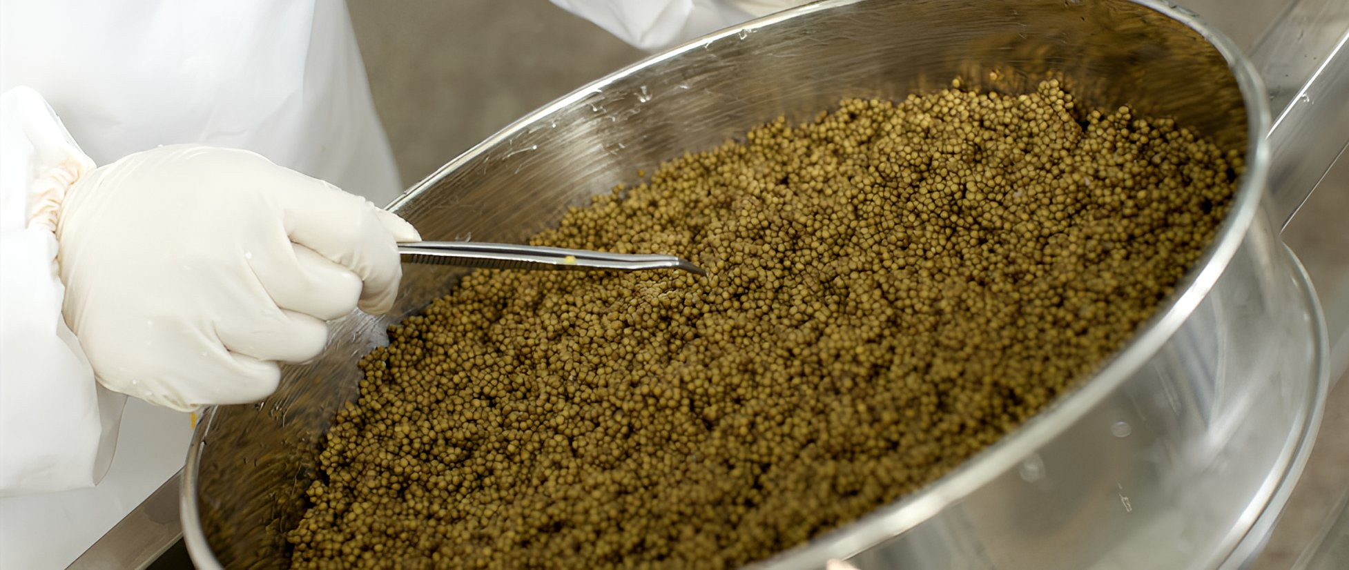 Slider_Royal-Caviar_01.png