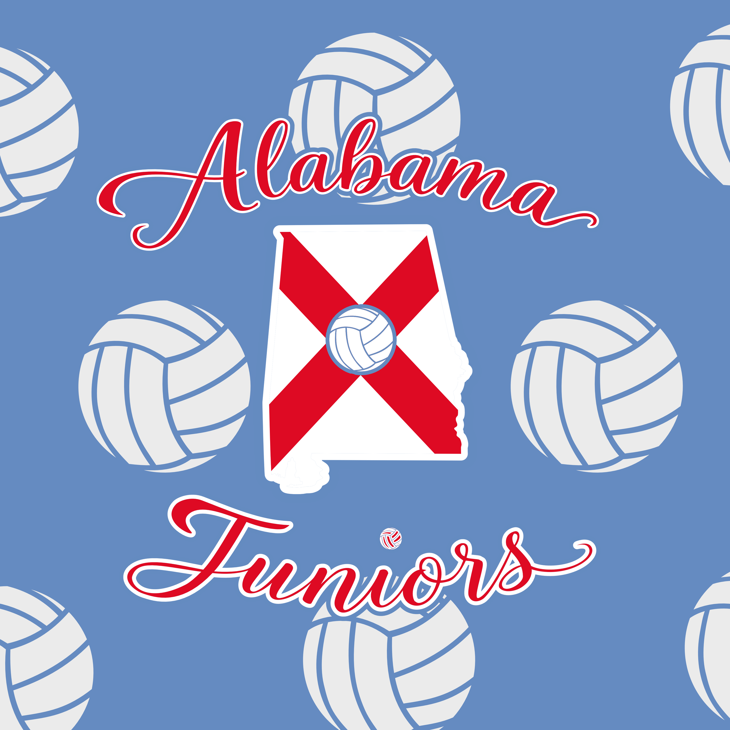 IMG_2593.PNG