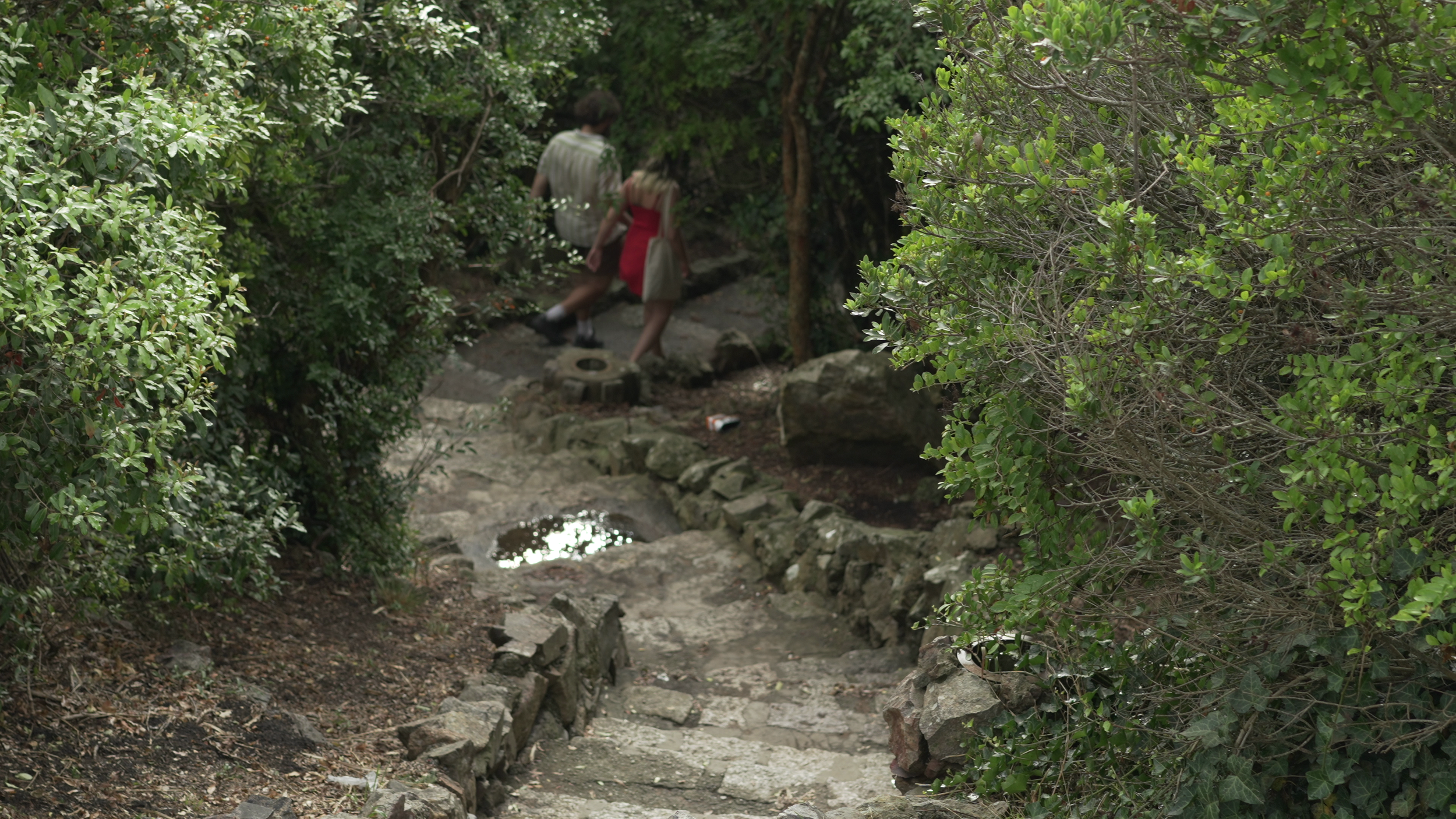 vlcsnap-2024-06-04-00h04m43s647.png