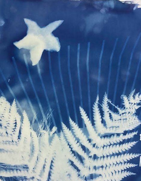 cyanotype star.jpg