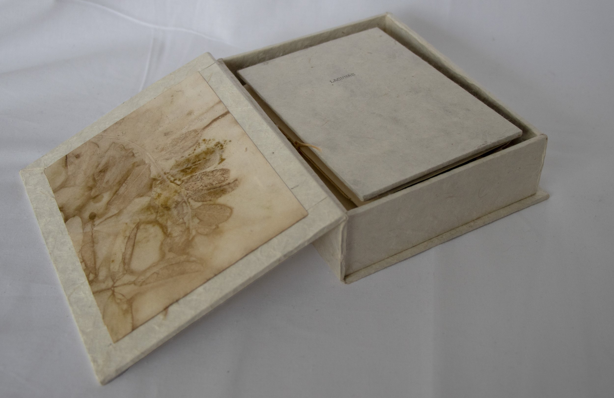 Lacuna Box open.jpg