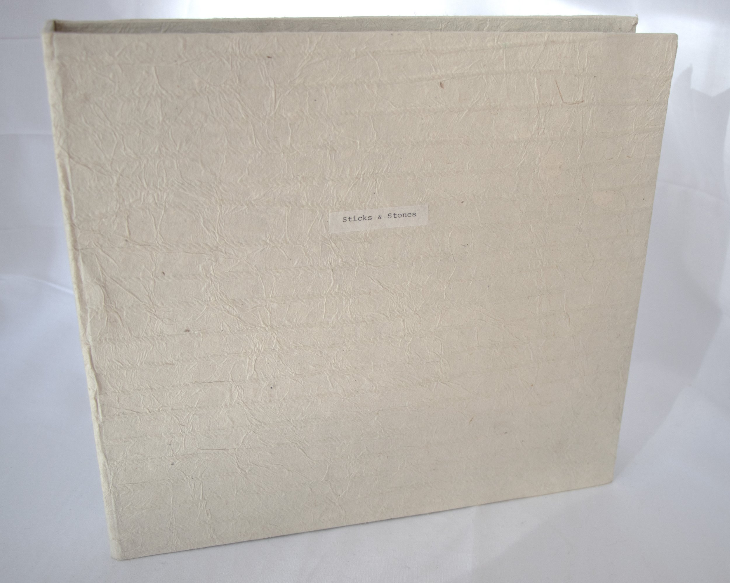 Sticks and Stones box.jpg