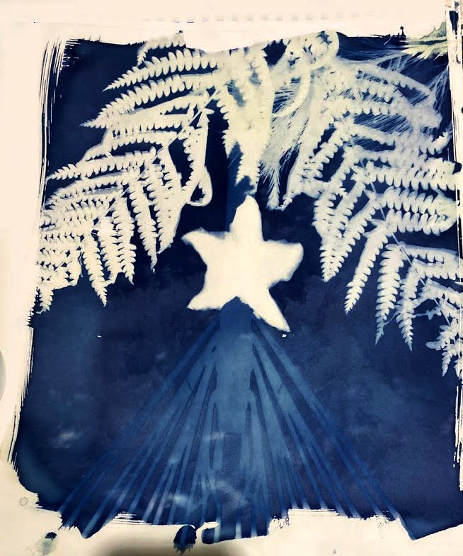 cyanotype star02.jpg