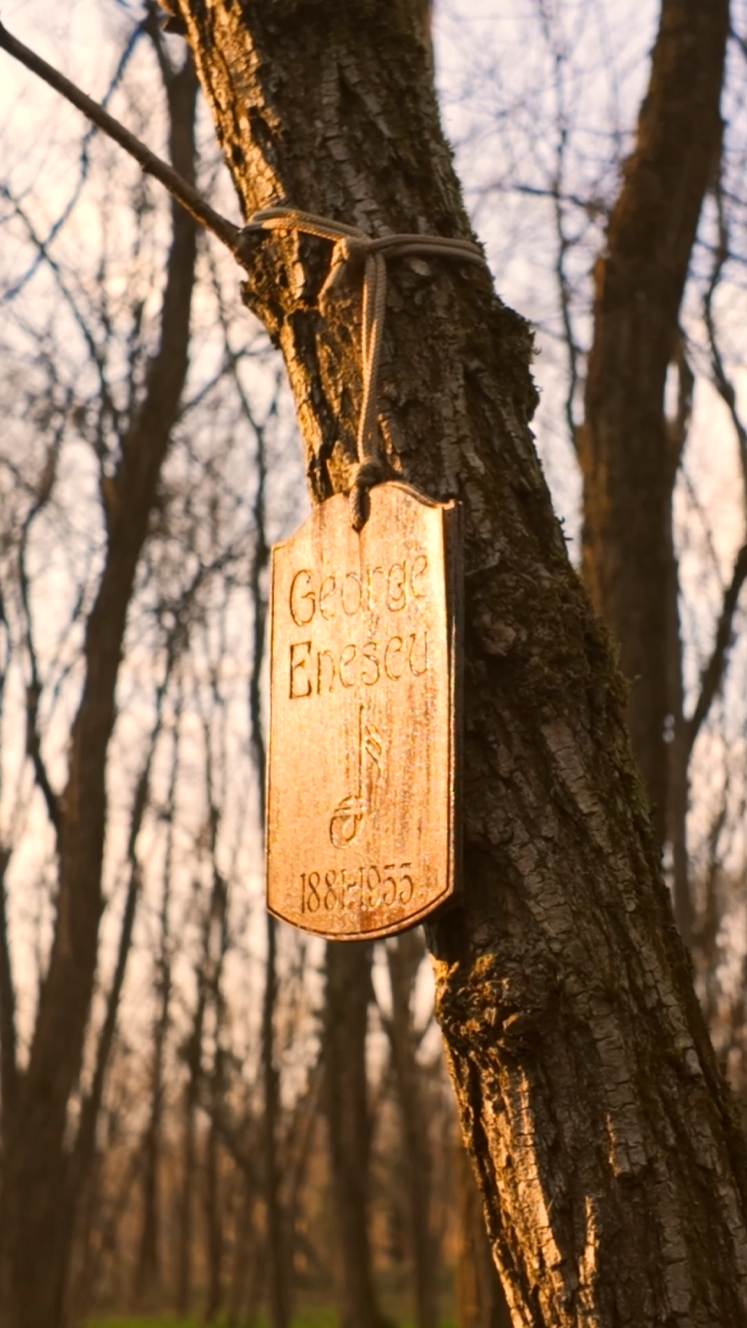 Paletto di legno attaccato a un albero con un nastro, con incisioni di nome e date, in un bosco durante il tramonto.