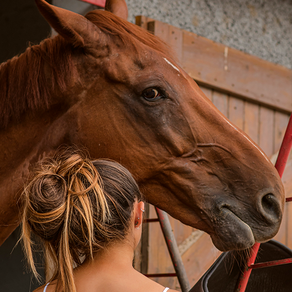 Una ragazza con capelli castani e chiusi in un chignon accarezza il muso di un cavallo chestnut in un paddock