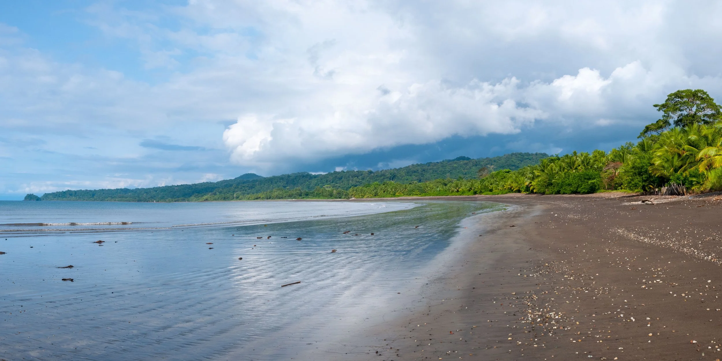 Nuqui Pacific colombia.jpg