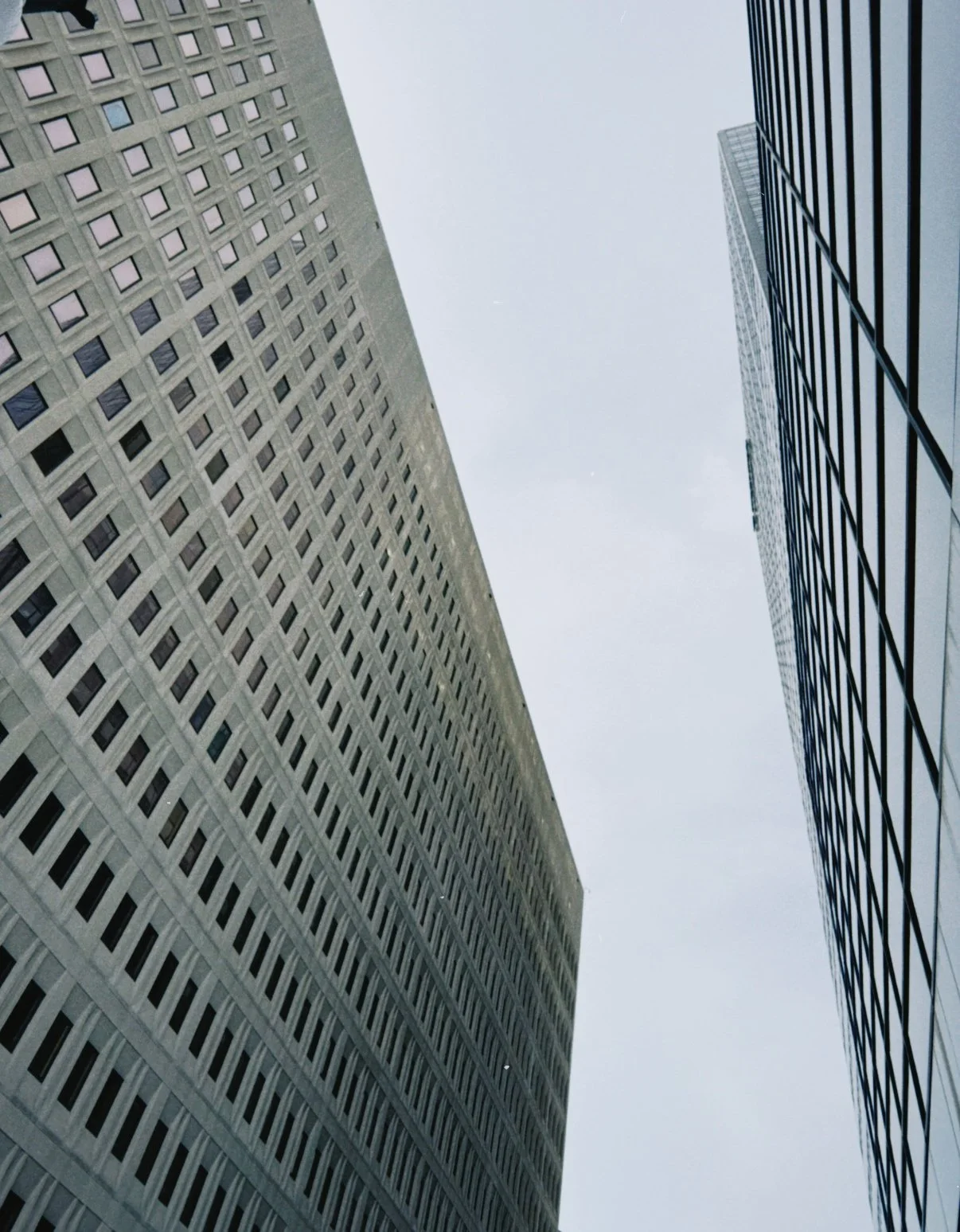 Rogue Dynamic-Top 100 US LA Ad Agency.JPG