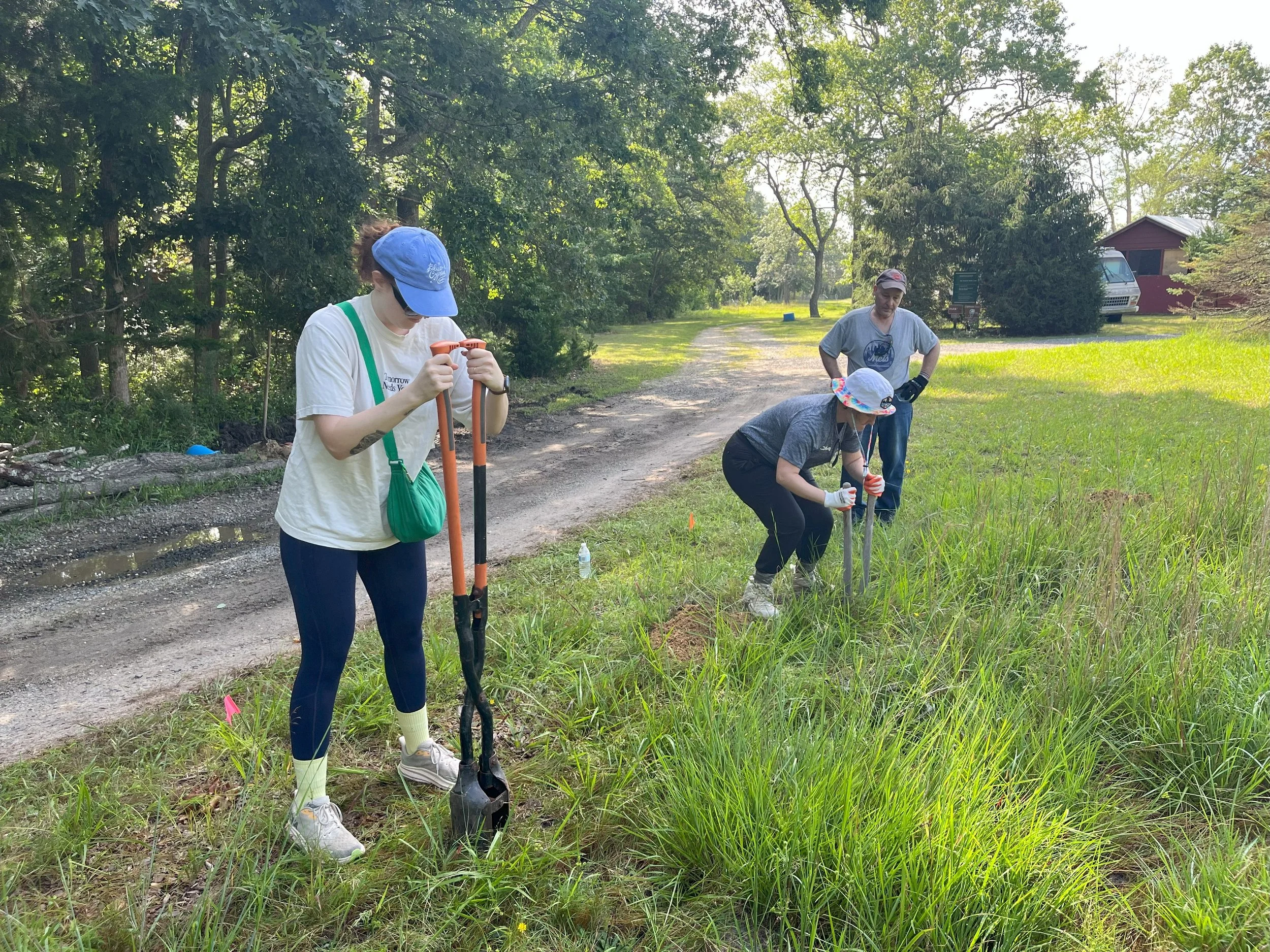 Summer Mondays Volunteer Day