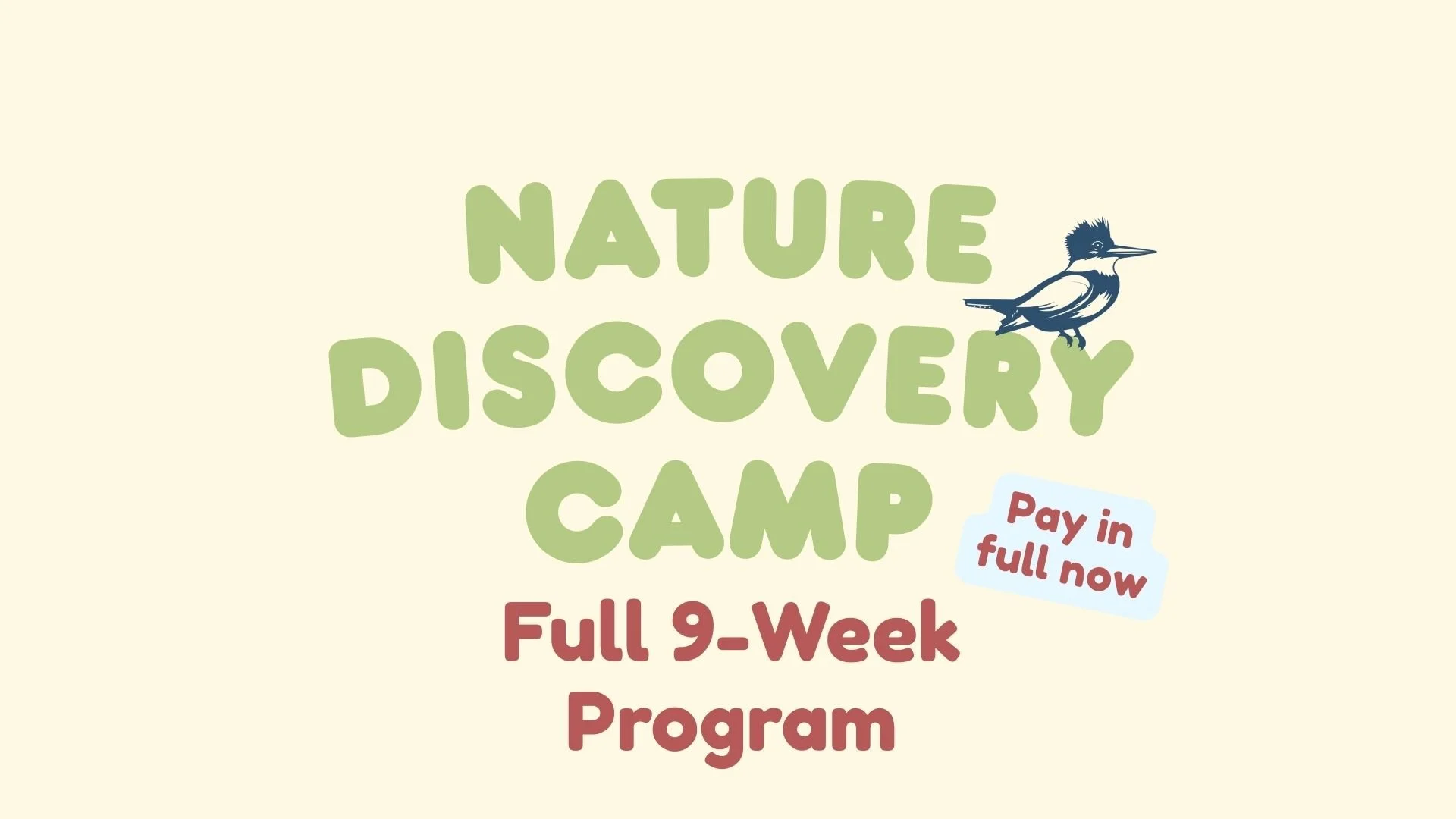 Full 9-Week Program - Full Payment