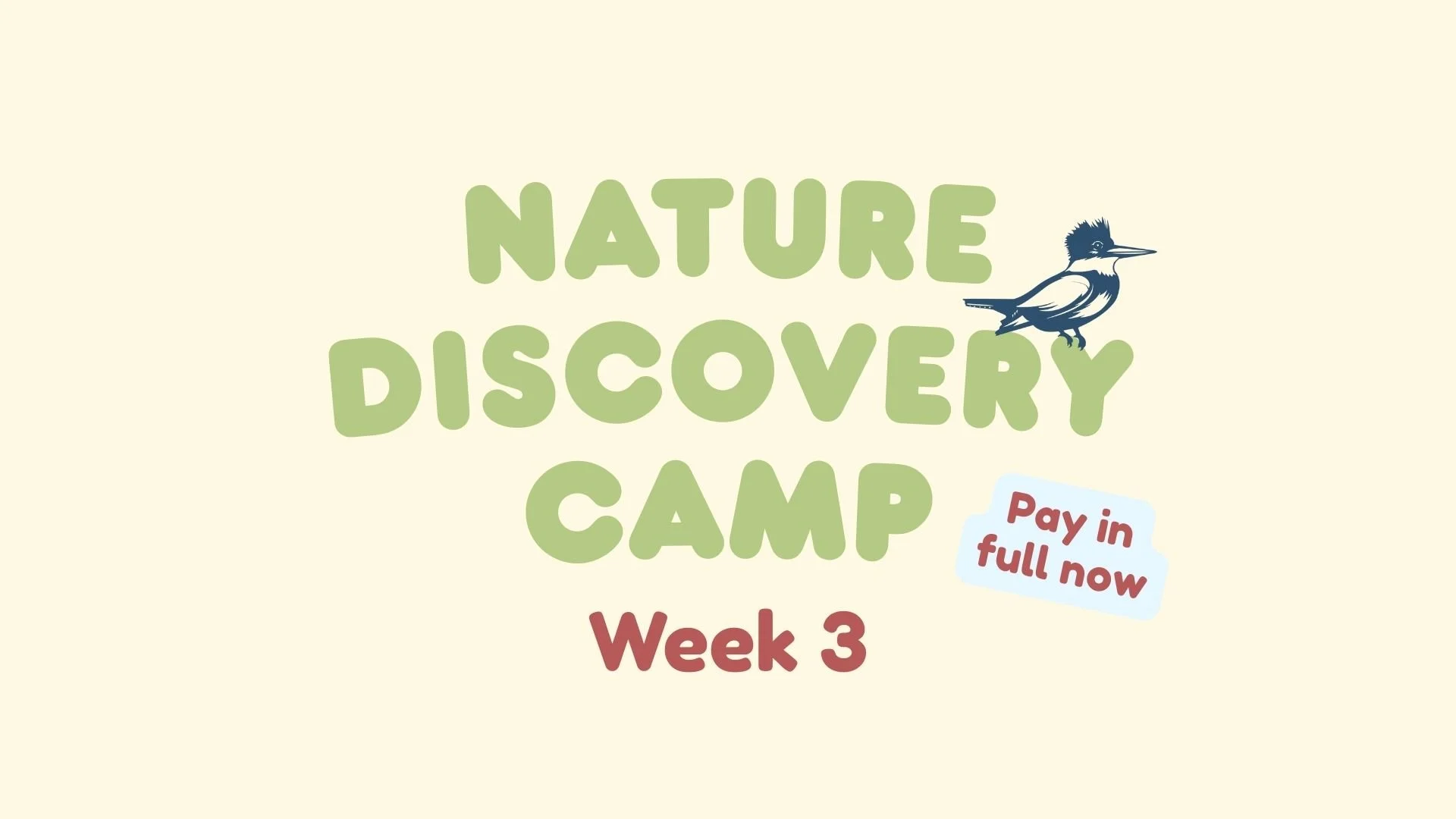 Week 3 (Jul 6 - Jul 10) - Full Payment