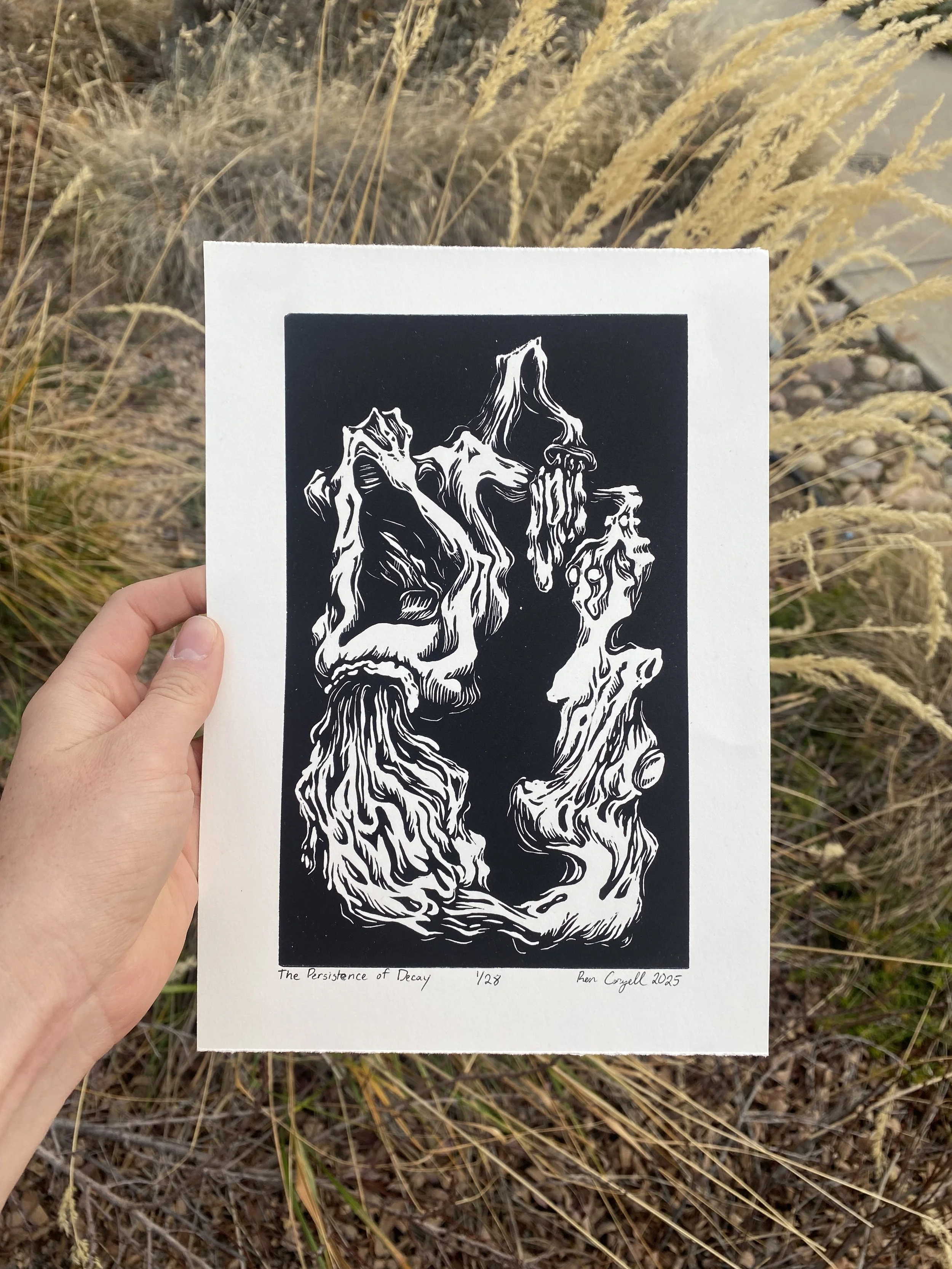 The Persistence of Decay— $25