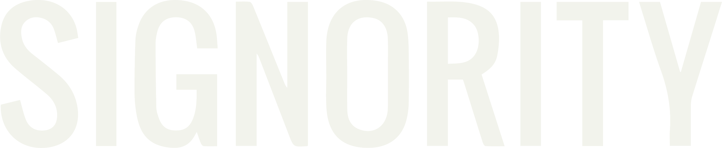 Close-up of large, capitalized, light-colored text spelling 'SIGNORITY' on a dark background.