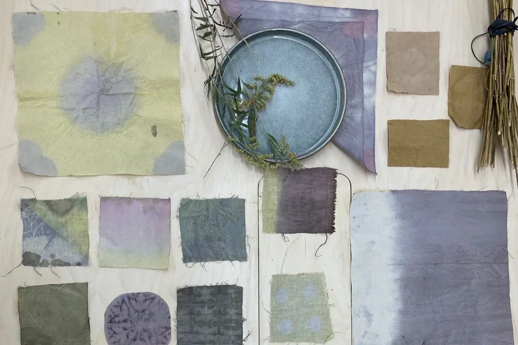 Ateliers Matières｜Initiez-vous à la teinture naturelle